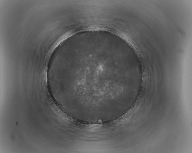 X0000112881173200909111437