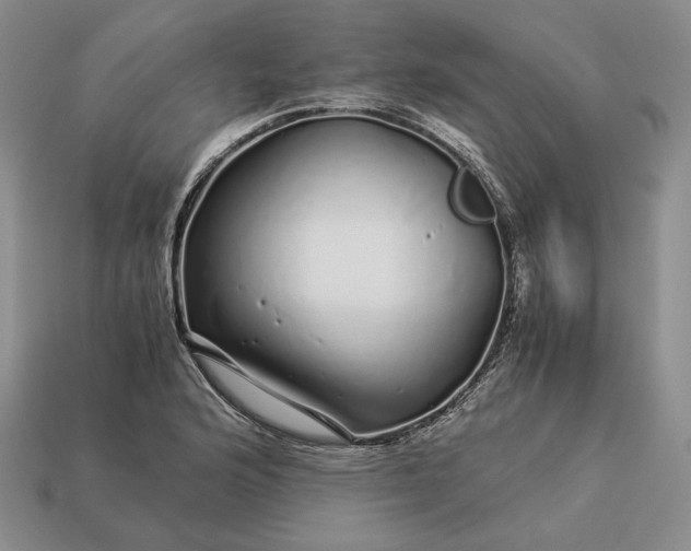 X0000112881176200909111437