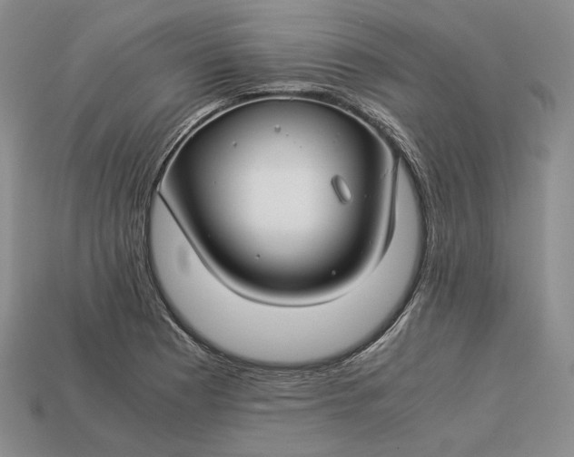 X0000112881177200909111437