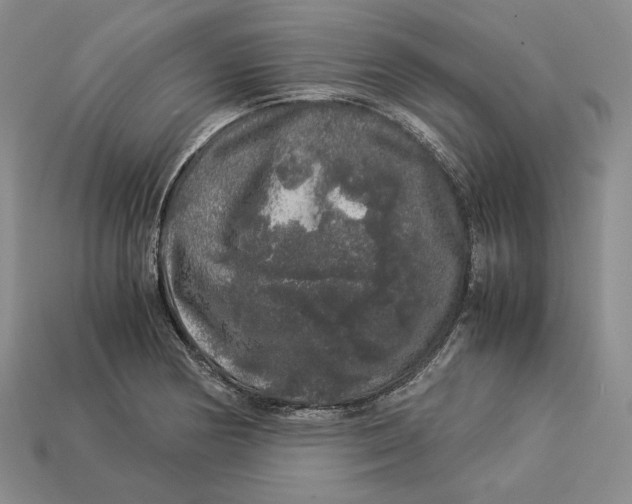 X0000112881178200909111437