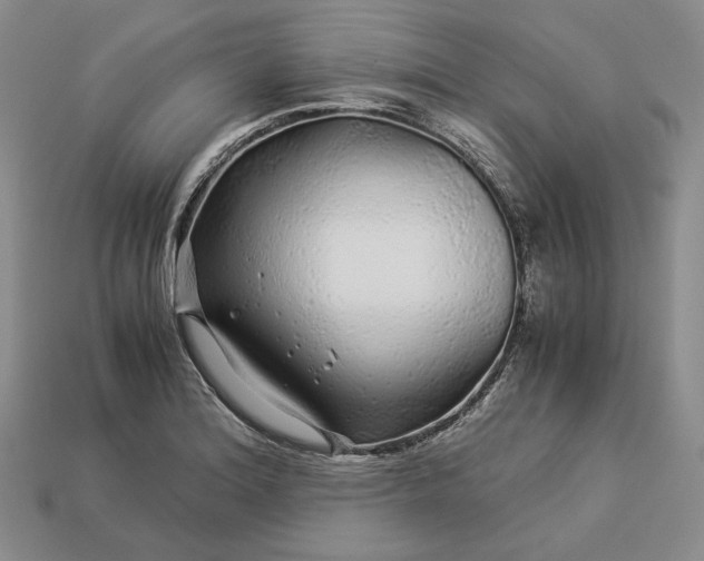 X0000112881180200909111437