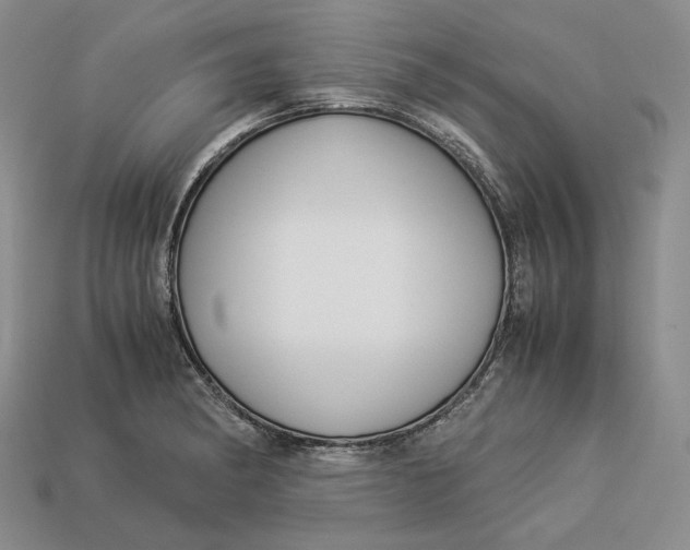 X0000112881182200909111437