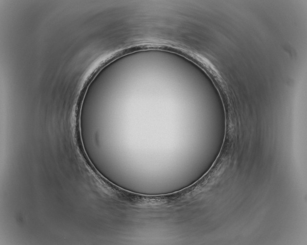 X0000112881183200909111437