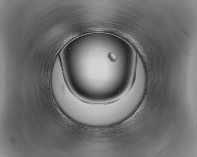 X0000112881185200909111436