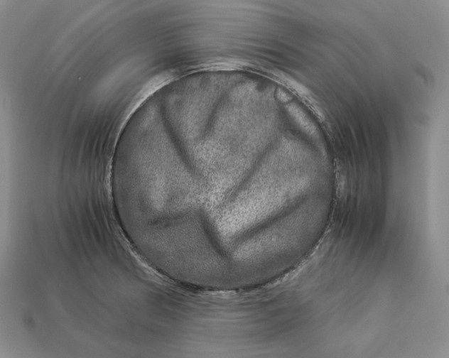 X0000112881186200909111436