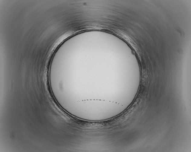 X0000112881187200909111436