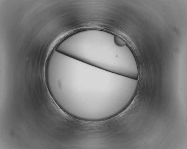 X0000112881188200909111436