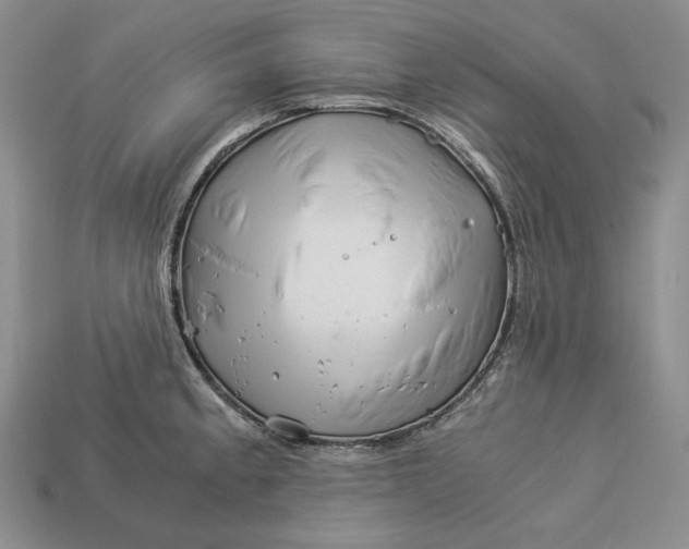 X0000112881189200909111436