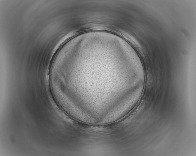 X0000112881190200909111436