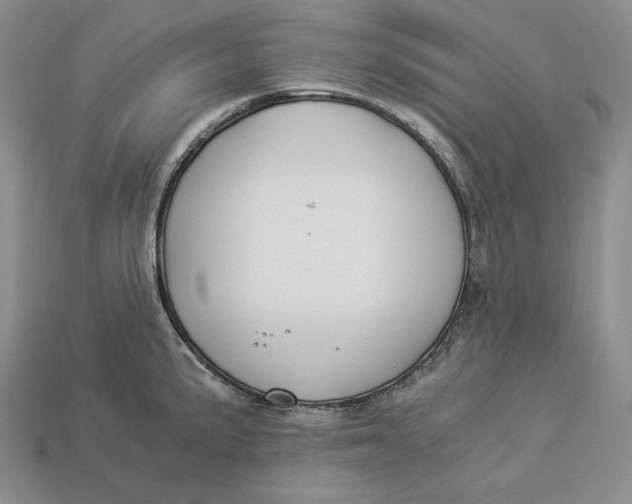 X0000112881191200909111436