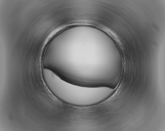 X0000112881192200909111436