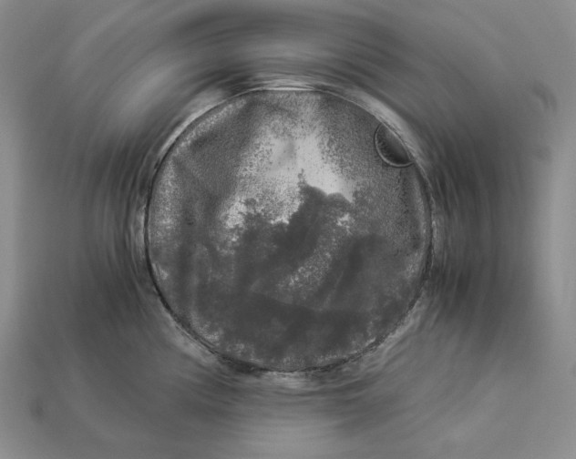 X0000112881194200909111436