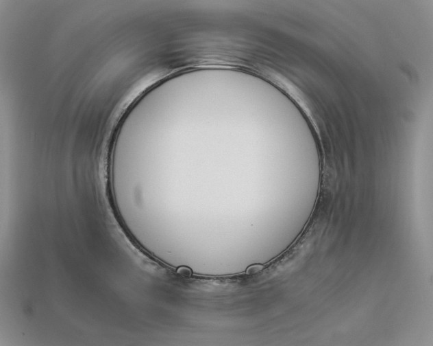 X0000112881195200909111436