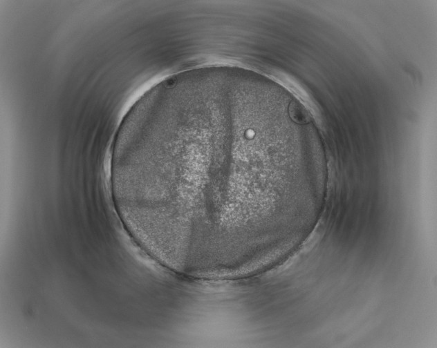 X0000112881198200909111436