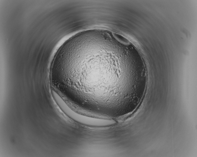 X0000112881200200909111436