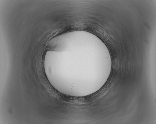 X0000112881201200909111436