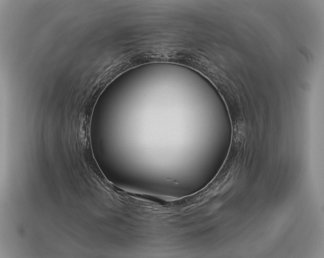 X0000112881202200909111436