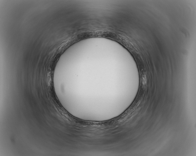 X0000112881204200909111436