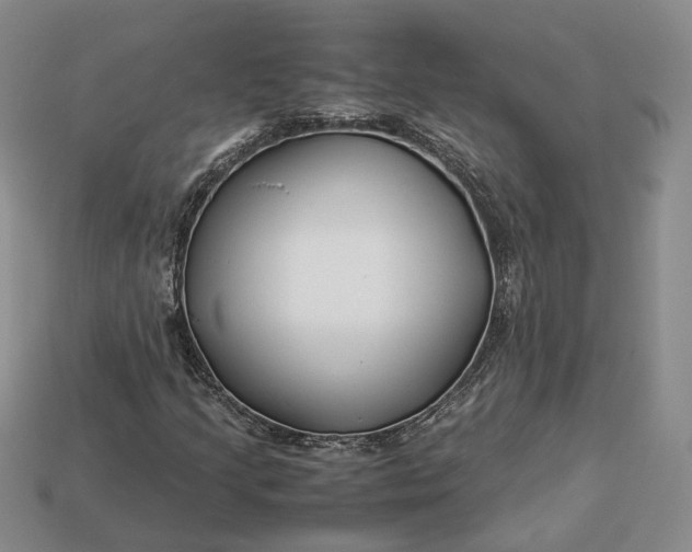 X0000112881205200909111436