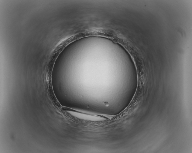 X0000112881206200909111436