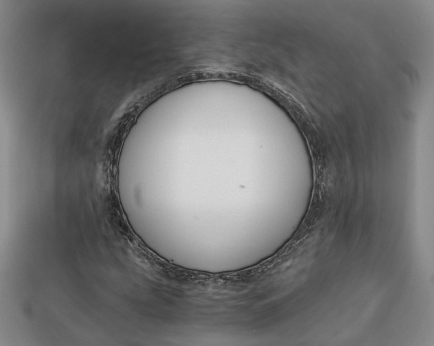 X0000112881207200909111436