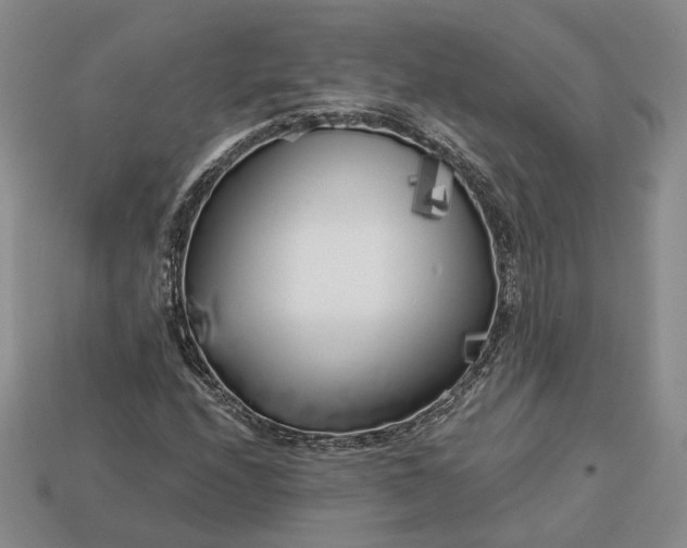 X0000112881208200909111436