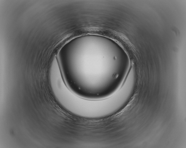 X0000112881209200909111436