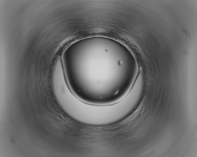 X0000112881210200909111436