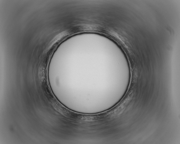 X0000112881211200909111436