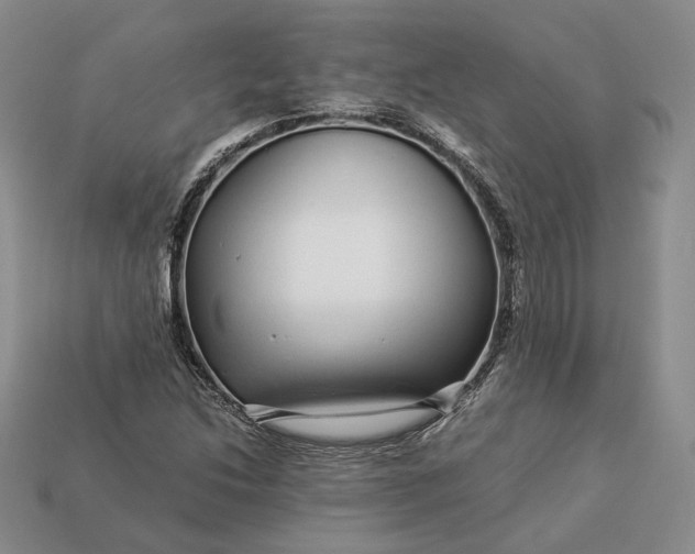 X0000112881214200909111436