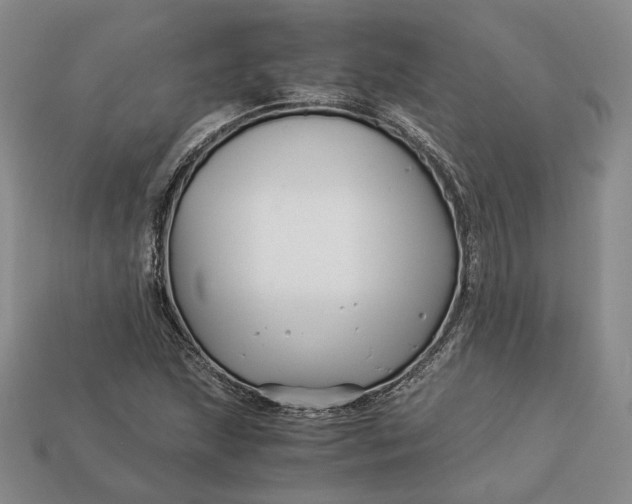 X0000112881215200909111436