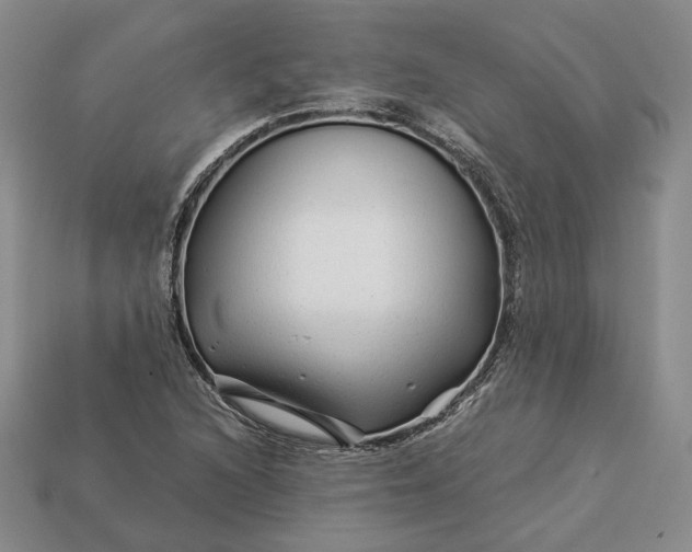 X0000112881216200909111436