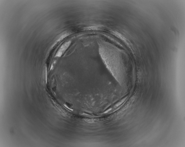 X0000112881219200909111436