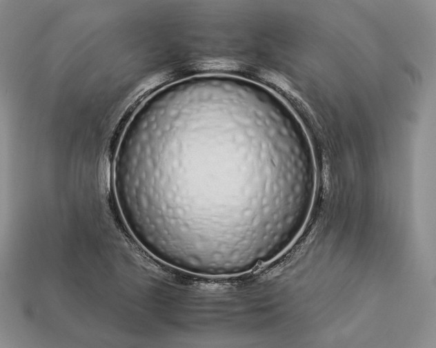 X0000112881221200909111436