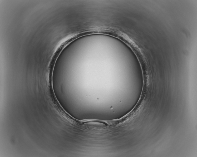 X0000112881222200909111436