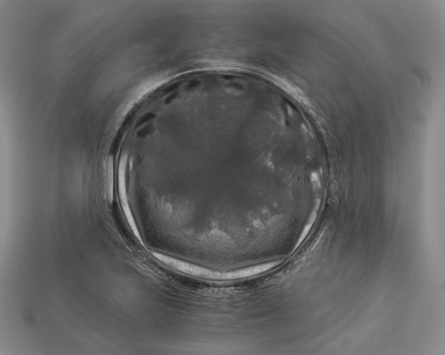 X0000112881223200909111436