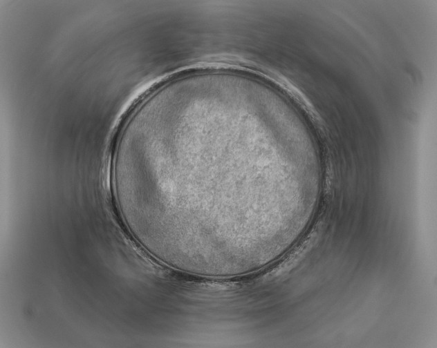 X0000112881224200909111436