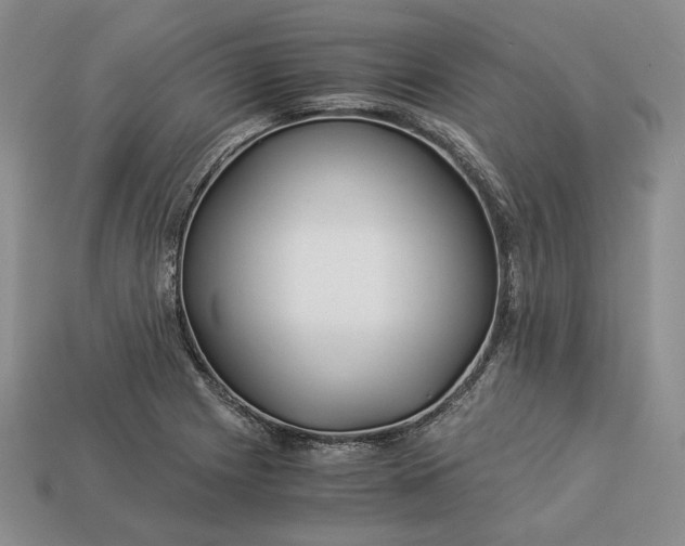 X0000112881225200909111436