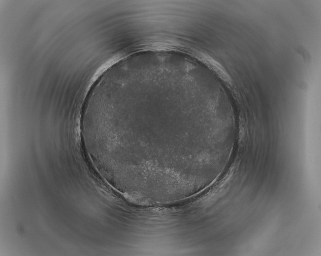 X0000112881226200909111436