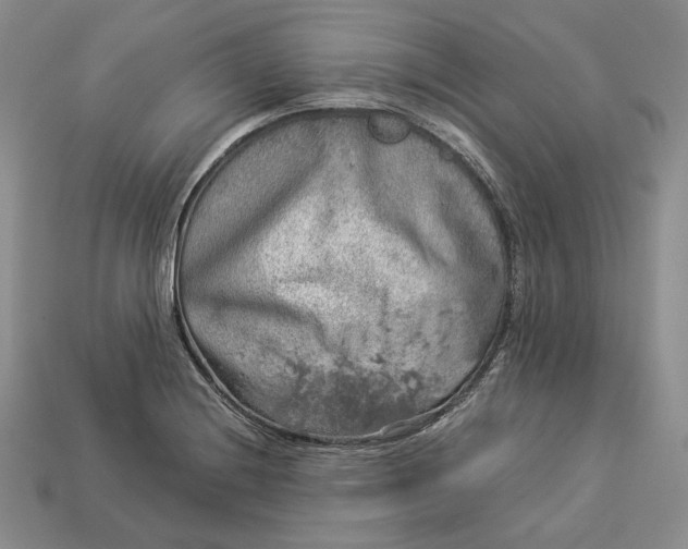 X0000112881228200909111436