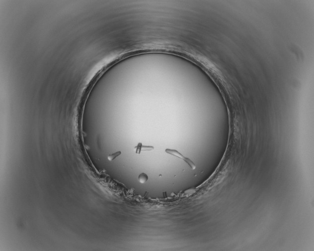 X0000112881230200909111436