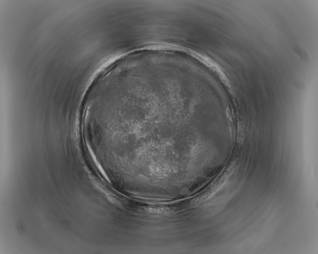 X0000112881231200909111436