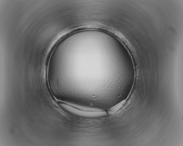 X0000112881232200909111436