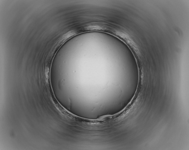 X0000112881233200909111436