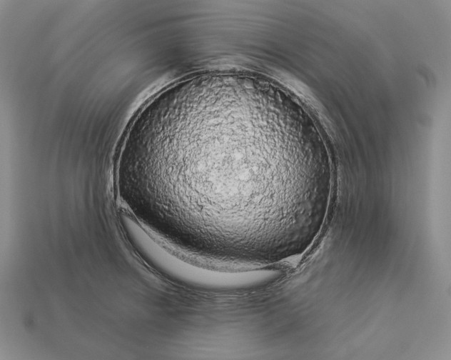 X0000112881234200909111436