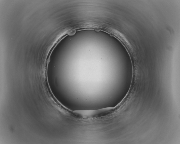 X0000112881236200909111436