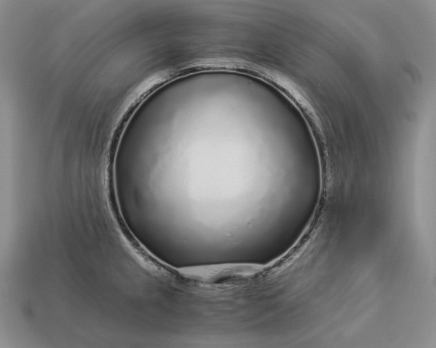 X0000112881237200909111436