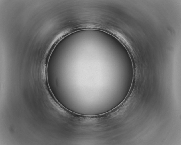 X0000112881238200909111436