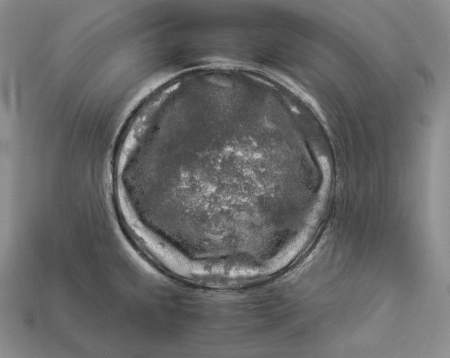 X0000112881239200909111436