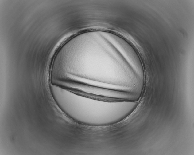 X0000112881240200909111436